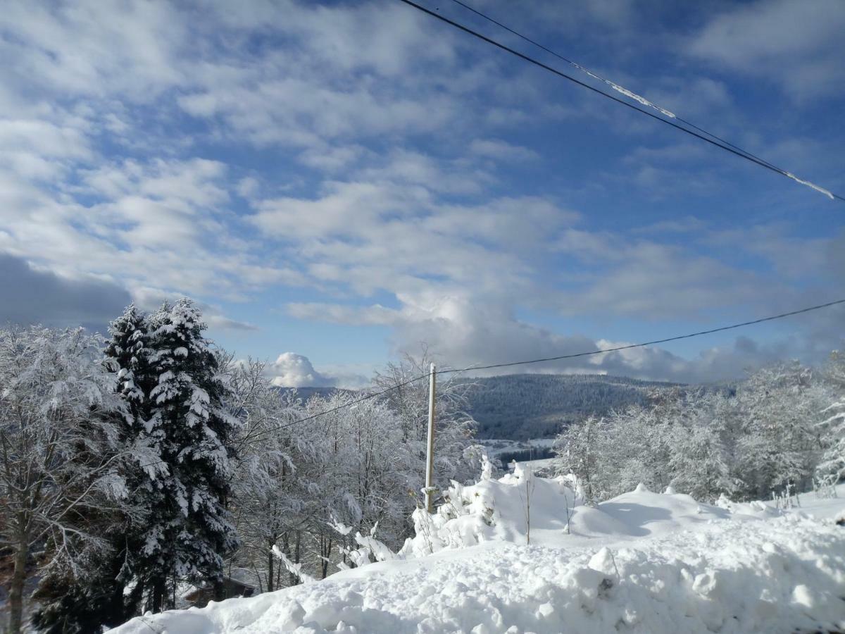 Gite Du Poirier Le Tholy Exterior foto